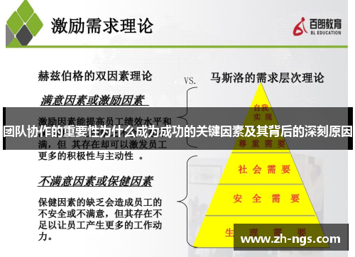 团队协作的重要性为什么成为成功的关键因素及其背后的深刻原因